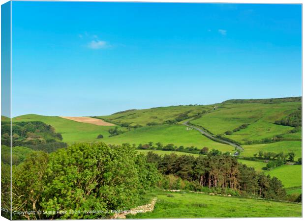 Abbotsbury Dorset Overviews on a May Morning Canvas Print by Susie Peek