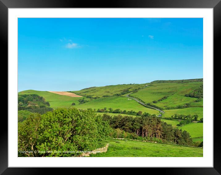 Abbotsbury Dorset Overviews on a May Morning Framed Mounted Print by Susie Peek