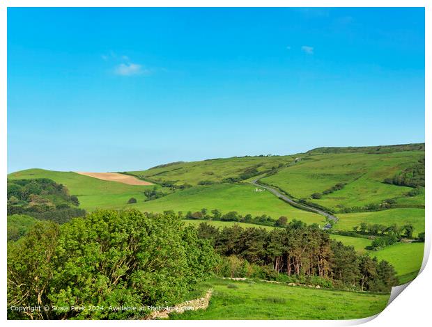Abbotsbury Dorset Overviews on a May Morning Print by Susie Peek