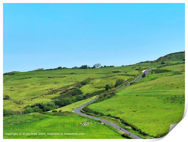 Abbotsbury Dorset Overviews on a May Morning Print by Susie Peek