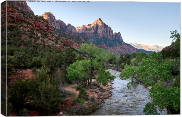 The Watchman, Zion National Park Canvas Print by Andrew Davies