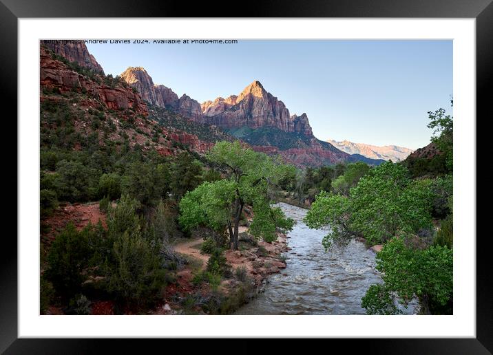 The Watchman, Zion National Park Framed Mounted Print by Andrew Davies