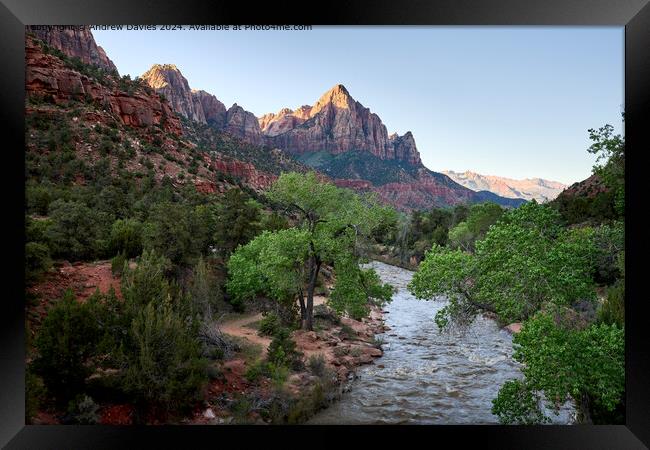 The Watchman, Zion National Park Framed Print by Andrew Davies
