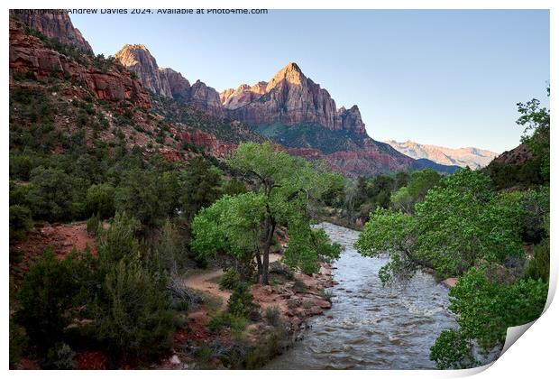 The Watchman, Zion National Park Print by Andrew Davies