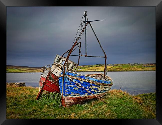 Rustic Fishing Boats on Unst Shetland Framed Print by Andrew Briggs