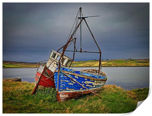 Rustic Fishing Boats on Unst Shetland Print by Andrew Briggs