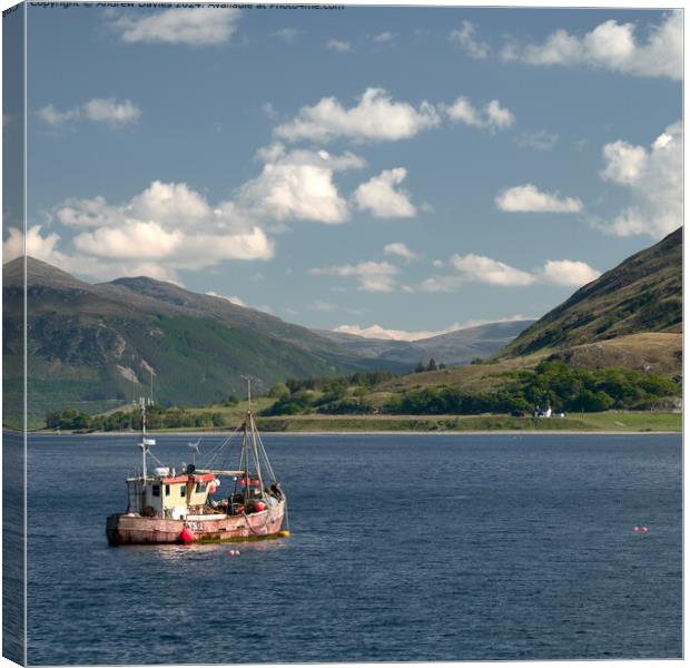 Fishing boat on Loch Broom, Ullapool, Scottish Hig Canvas Print by Andrew Davies