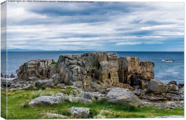 Daisy Rock, Hopeman Canvas Print by Tom McPherson