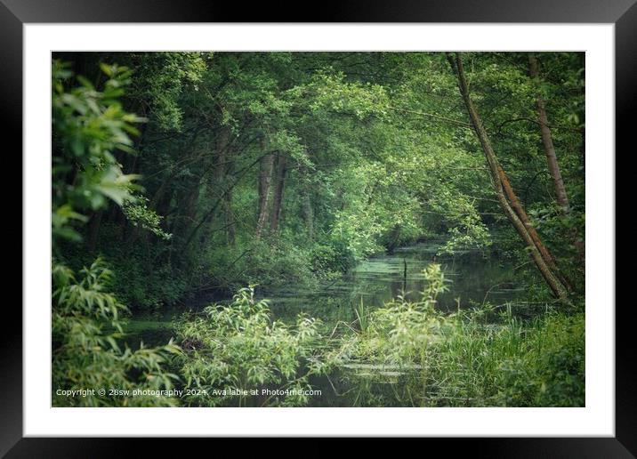 The Watercolour of The End of Spring. Framed Mounted Print by 28sw photography