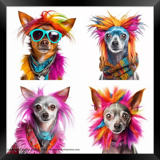 Adorable Fashion Dog Portraits Framed Print by Mirjana Bogicevic