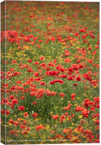 Sunlit Poppies and Meadow flowers Canvas Print by Simon Johnson