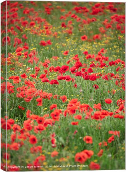 Sunlit Poppies and  Meadow flowers Canvas Print by Simon Johnson