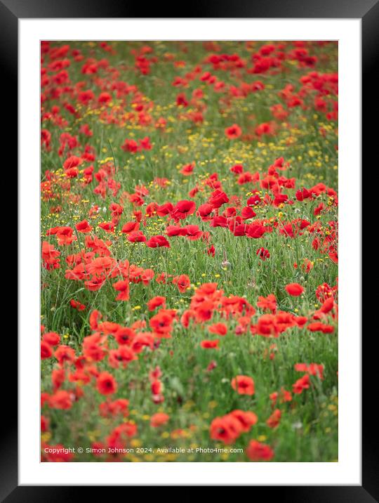 Sunlit Poppies and  Meadow flowers Framed Mounted Print by Simon Johnson