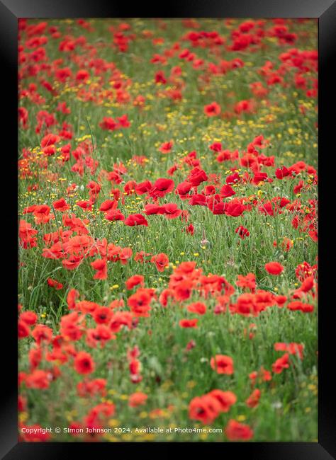 Sunlit Poppies and  Meadow flowers Framed Print by Simon Johnson