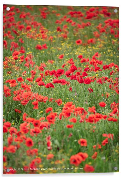 Sunlit Poppies and  Meadow flowers Acrylic by Simon Johnson