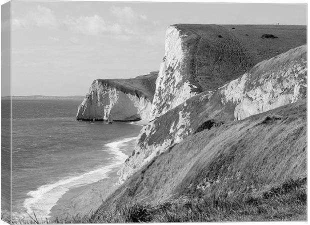 The White Cliff Of Lulworth Canvas Print by Louise Godwin