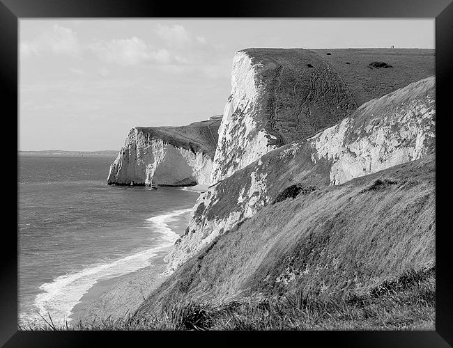 The White Cliff Of Lulworth Framed Print by Louise Godwin