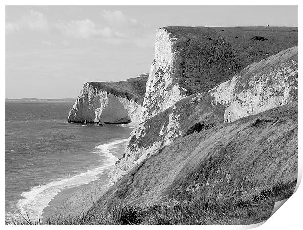 The White Cliff Of Lulworth Print by Louise Godwin