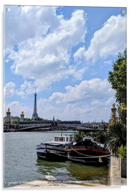 Swan, Cityscape, Seine River Paris Acrylic by Robert Galvin-Oliphant