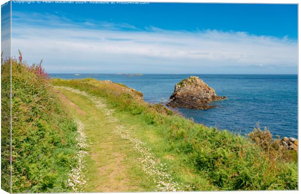 Herm Coastal Wildflower Landscape Channel Islands Canvas Print by Pearl Bucknall