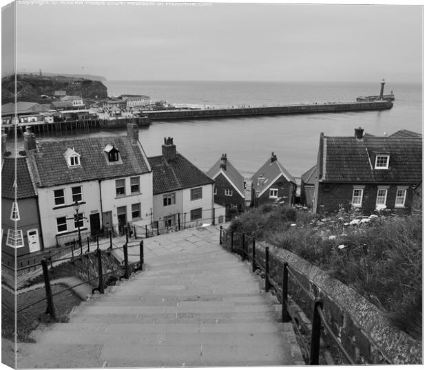 Whitby 99 Steps  viewing towards Harbour Canvas Print by Andrew Heaps