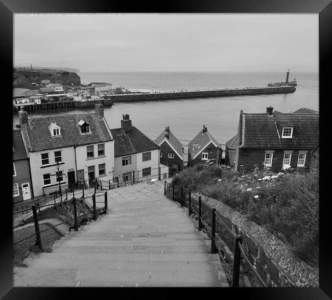 Whitby 99 Steps  viewing towards Harbour Framed Print by Andrew Heaps