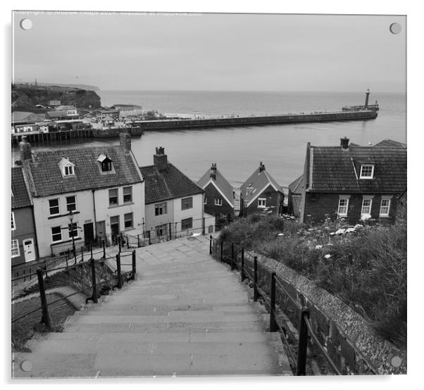 Whitby 99 Steps  viewing towards Harbour Acrylic by Andrew Heaps