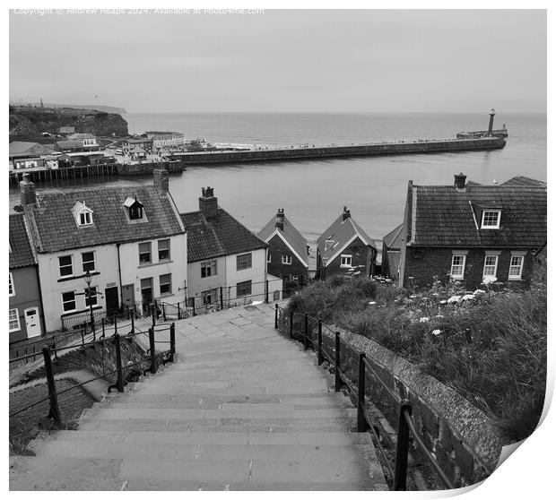 Whitby 99 Steps  viewing towards Harbour Print by Andrew Heaps