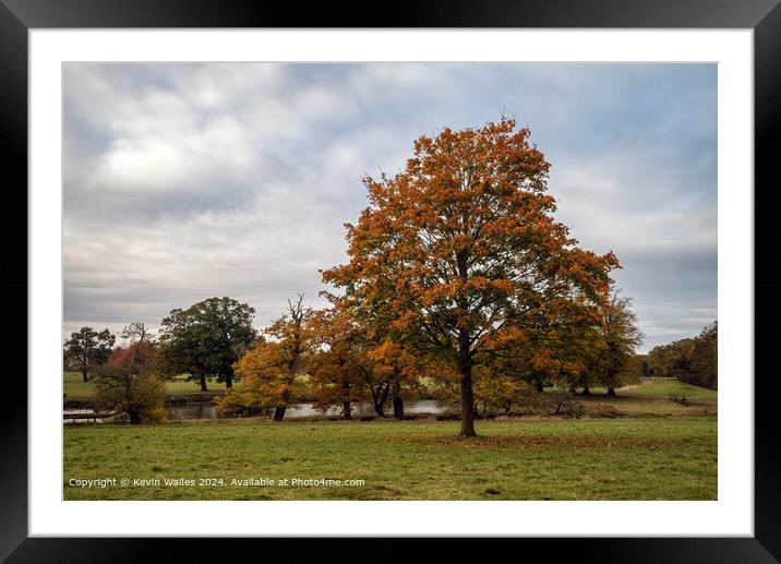  Autumn Landscape Framed Mounted Print by Kevin Wailes