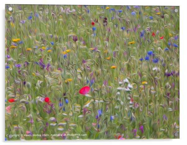 Wildflower meadow Acrylic by Kevin Wailes