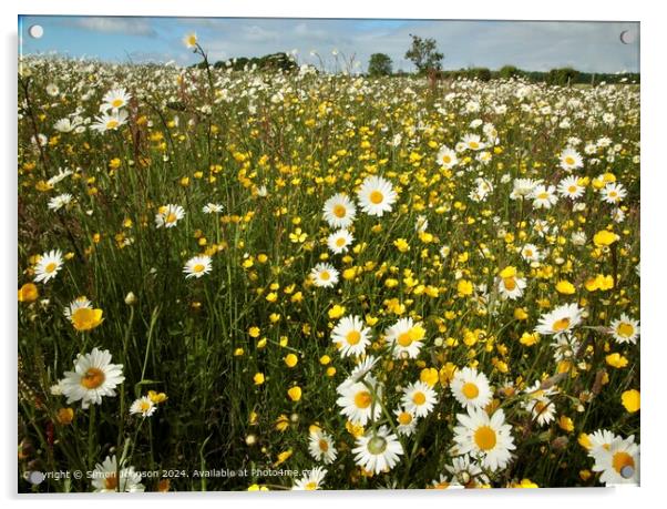 Wildflower Meadow Cotswolds Acrylic by Simon Johnson