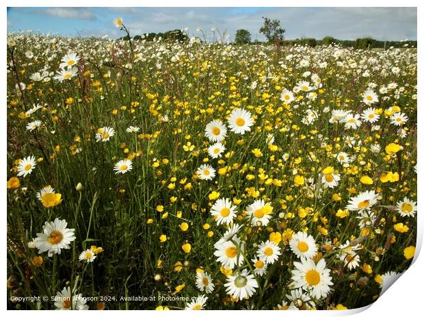 Wildflower Meadow Cotswolds Print by Simon Johnson