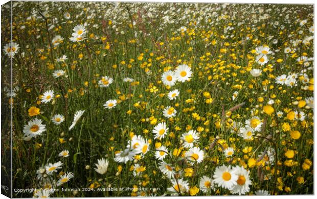 Wildflower Meadow Cotswolds Canvas Print by Simon Johnson