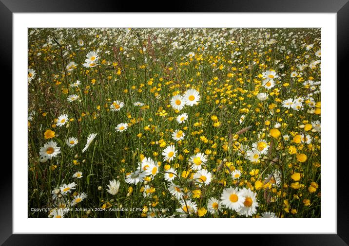 Wildflower Meadow Cotswolds Framed Mounted Print by Simon Johnson