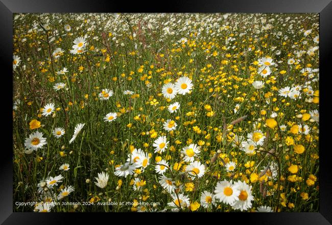 Wildflower Meadow Cotswolds Framed Print by Simon Johnson