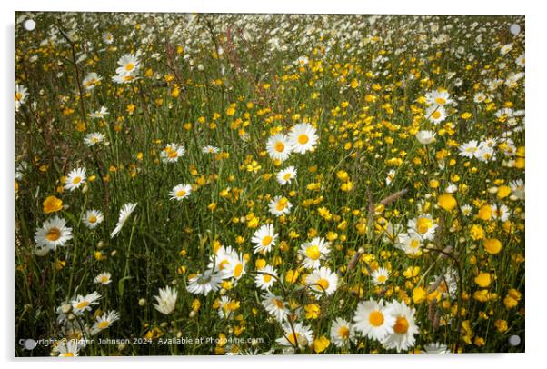 Wildflower Meadow Cotswolds Acrylic by Simon Johnson