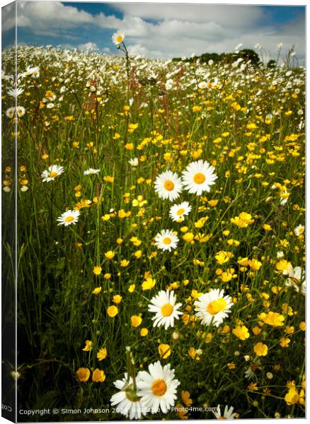 Wildflower Meadow Cotswolds Landscape Canvas Print by Simon Johnson