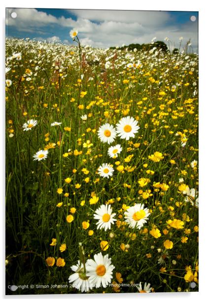 Wildflower Meadow Cotswolds Landscape Acrylic by Simon Johnson