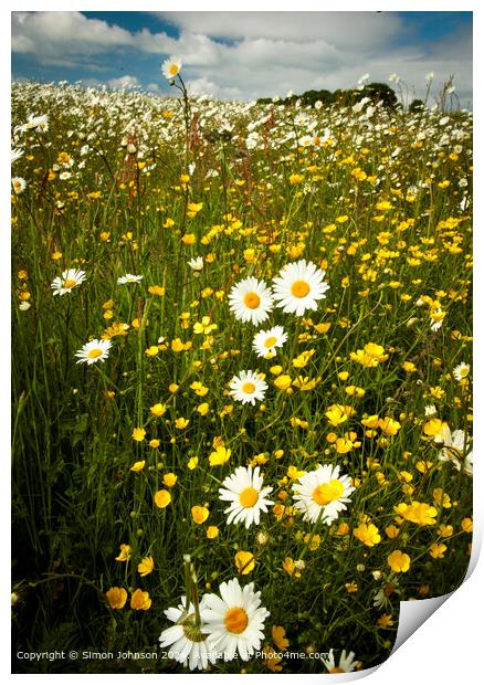Wildflower Meadow Cotswolds Landscape Print by Simon Johnson