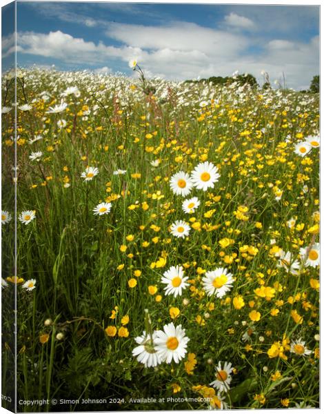 Wildflower Meadow Cotswolds Landscape Canvas Print by Simon Johnson