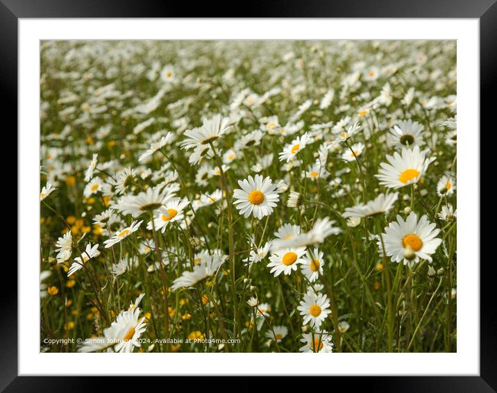 Wildflower Meadow, Cotswolds Framed Mounted Print by Simon Johnson