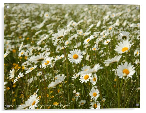 Wildflower Meadow, Cotswolds Acrylic by Simon Johnson