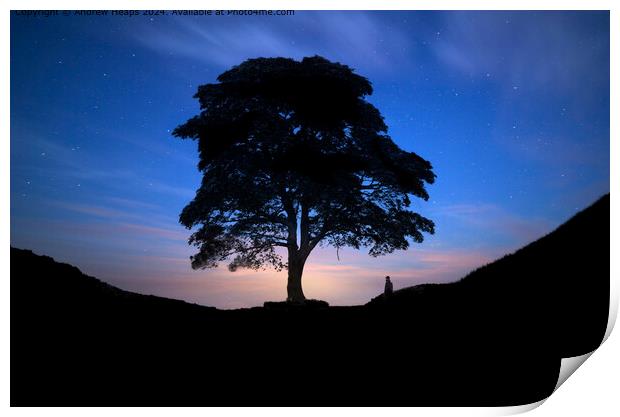 Sycamore Gap Silhouette Sunset Print by Andrew Heaps