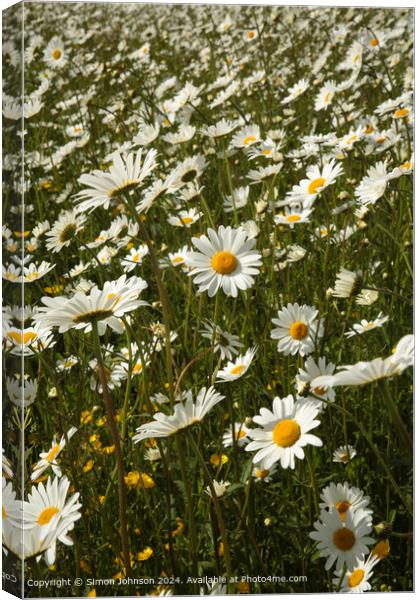 Wildflower Meadow Cotswolds Canvas Print by Simon Johnson