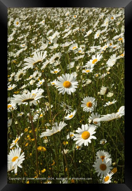 Wildflower Meadow Cotswolds Framed Print by Simon Johnson