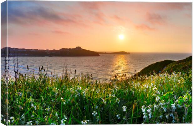 Newquay Sunset Canvas Print by Alison Chambers