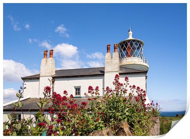 Caldey Island Lighthouse, Pembrokeshire, Wales.  Print by Colin Allen