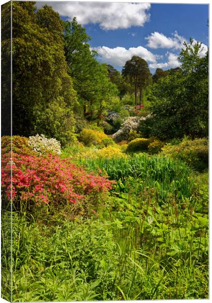 Vibrant English Garden Nature Canvas Print by John Gilham