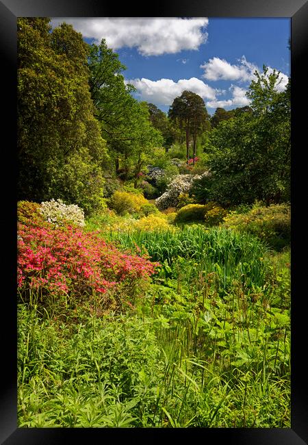 Vibrant English Garden Nature Framed Print by John Gilham