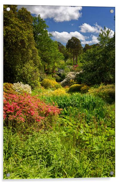 Vibrant English Garden Nature Acrylic by John Gilham